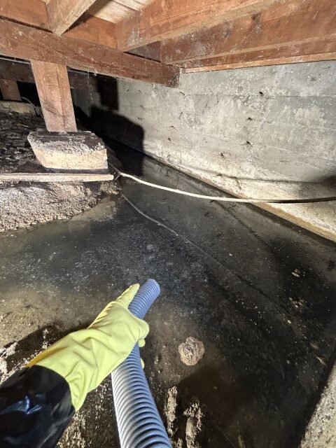 Water Damage Restoration Seattle